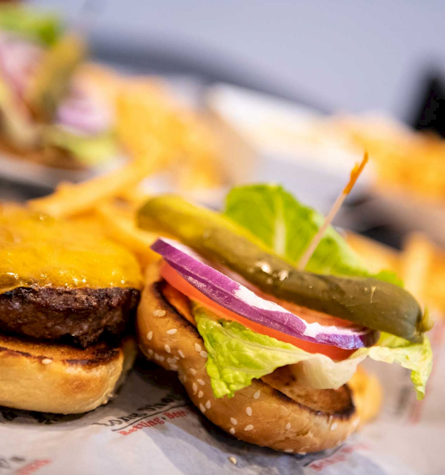 The image shows a cheeseburger with a pickle, red onion, lettuce, and tomato, alongside some French fries on a dish.